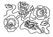American Beauty #1