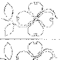 Dogwood