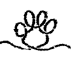 Cat Paw - 2"