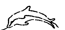 Dolphin #2