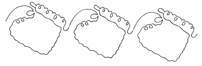 Baby Booties Border