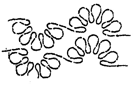 Daisy (Interlocking) - 3" Border W/C"