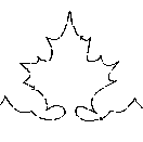 Maple Leaf - 6"