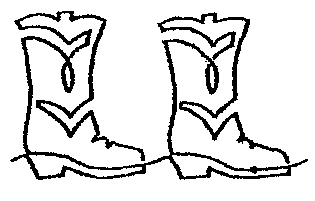 Cowboy Boot